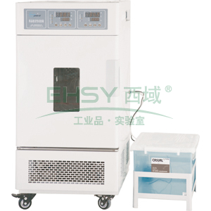 药品稳定性试验箱，一恒，LHH-250SD，控温范围：0~65℃，可程式液晶控制器，容积：250L，内胆尺寸：600x500x830mm
