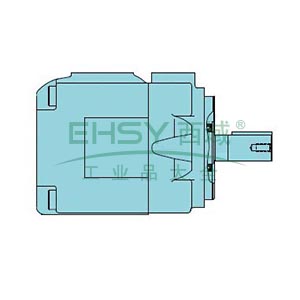 派克/Parker 单联定量叶片泵，T7DL B31 1R00 A100 售卖规格：1个