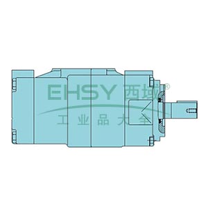 派克/Parker 双联定量叶片泵，T7EDS 062 050 1R03 A1M0 售卖规格：1个