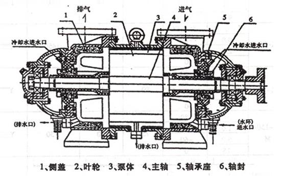 水环式真空泵工作原理及安装图片