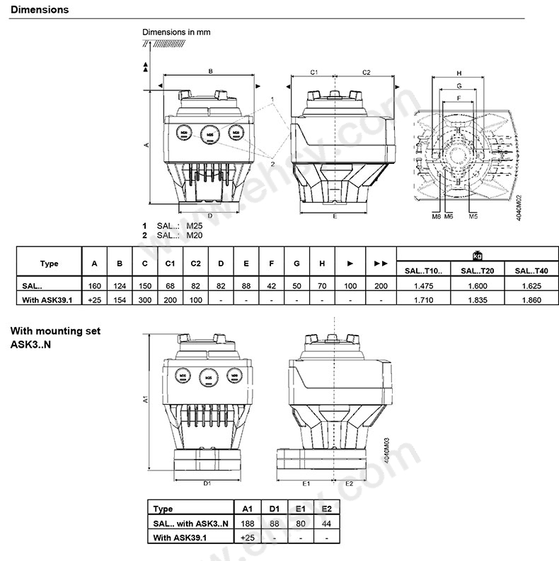 SAL31.00T20-11.jpg