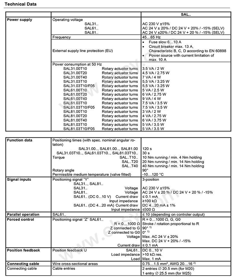 SAL31.00T20-6.jpg