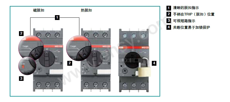 产品细节-ZAK483-ZAK487.jpg