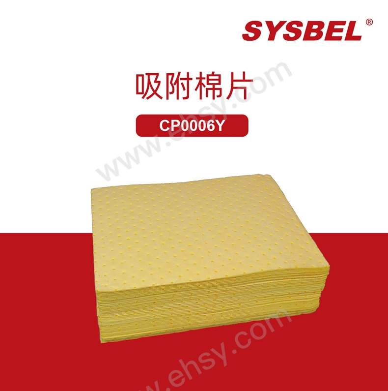 CP0006Y.jpg