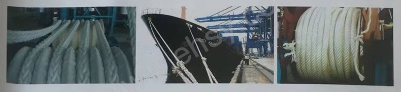 HSP541-应用.jpg