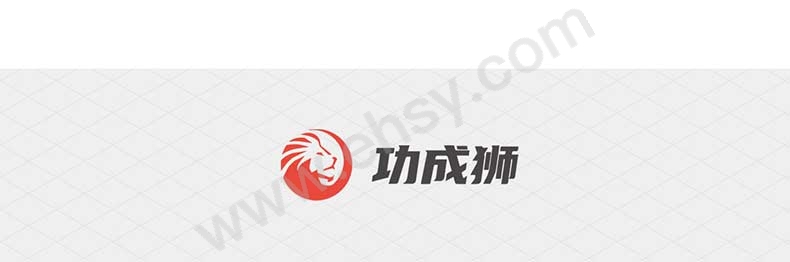 GMSP0210-284功成狮扁平吊环吊装带详情页-20240530_08.jpg