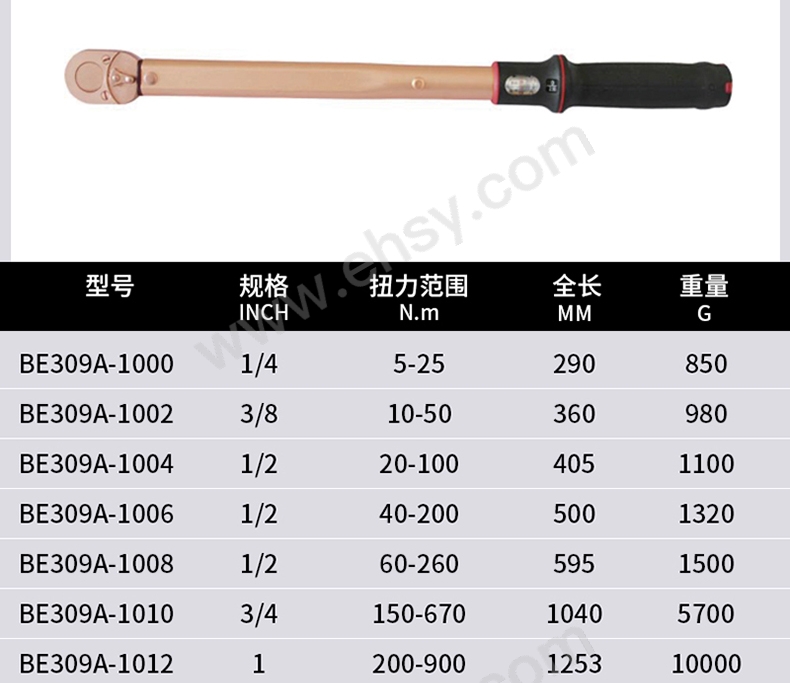 BE309A_03.jpg