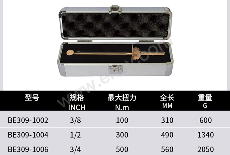 BE309_03.jpg