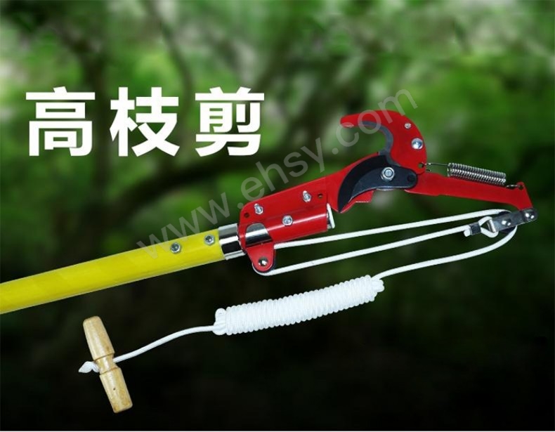 高枝剪 (1)细节.jpg