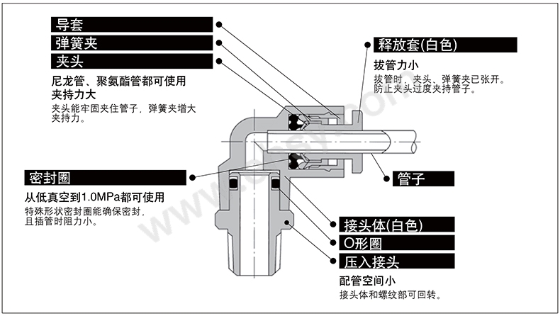 细节.jpg