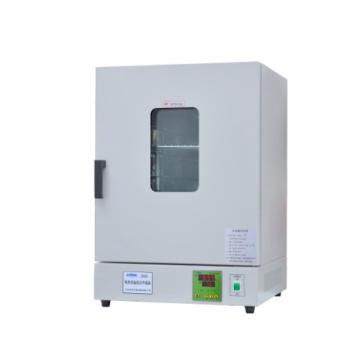 龙跃 立式鼓风干燥箱，DHG-9030A 室温+10℃-200℃ 售卖规格：1台