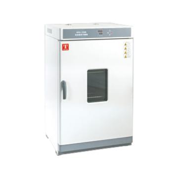 泰斯特/Taisite 热空气消毒箱，GX230D(原GX230B) 售卖规格：1台
