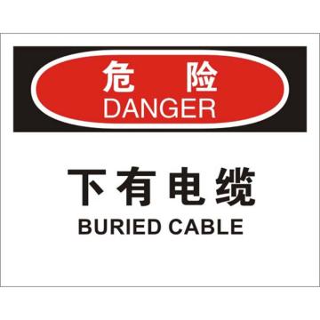 安赛瑞 OSHA危险标识-下有电缆，不干胶材质，250×315mm，31160 售卖规格：1张