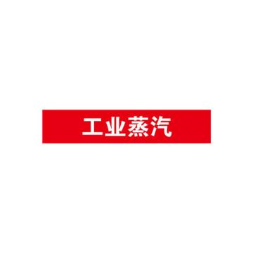 安赛瑞 管道标识-工业蒸汽，自粘性乙烯表面覆膜，红底白字，25×125mm，14964 售卖规格：10张/包
