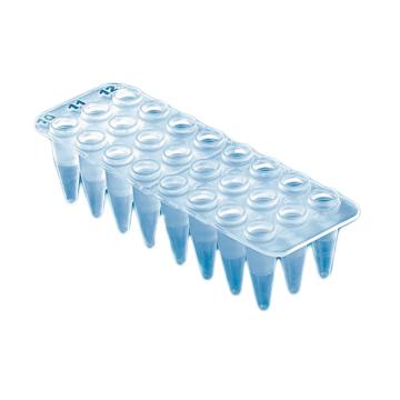 普兰德/BRAND 24孔PCR板，PP材质，无裙边，透明，0.2ml，用于qPCR，781411 售卖规格：40个/包