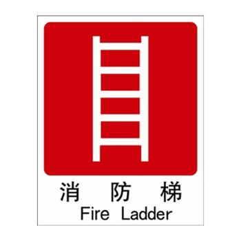 安赛瑞 消防安全标识-消防梯，自发光板，250×315mm，G5505D 售卖规格：1张