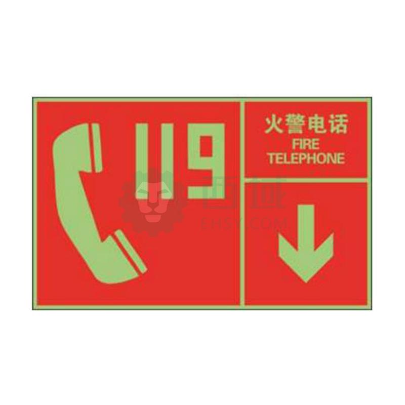 安赛瑞 左右款消防安全标识(火警电话),中/英,自发光板,400×250mm