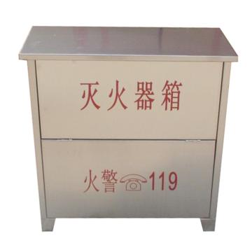 蓝消 干粉灭火器箱，4kg*4，0.8mm(±0.15),304不锈钢，56*60*20cm 售卖规格：1个