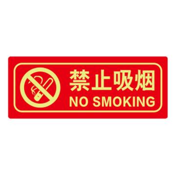安赛瑞 经济型自发光地贴-禁止吸烟，自发光不干胶，140×360mm，21636 售卖规格：10片/包