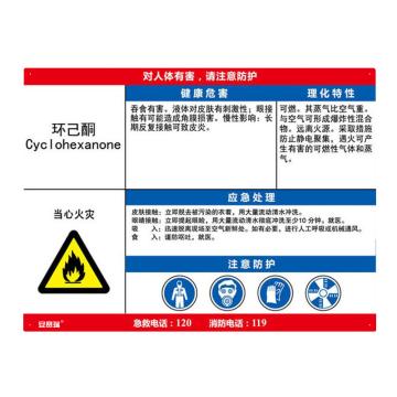 安赛瑞 职业病危害告知卡-环己酮，ABS板，600×450mm，14629 售卖规格：1张