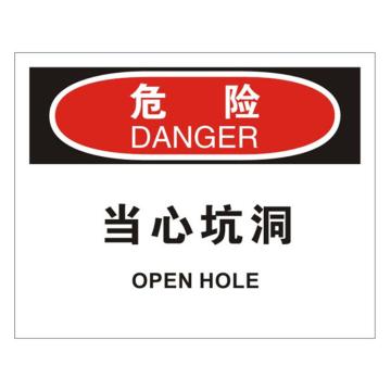 安赛瑞 OSHA危险标识-当心坑洞，不干胶材质，250×315mm，31171 售卖规格：1张