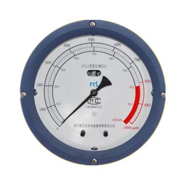 新兰石 差压液位计，CYJ-1 100.0kPa 售卖规格：1个