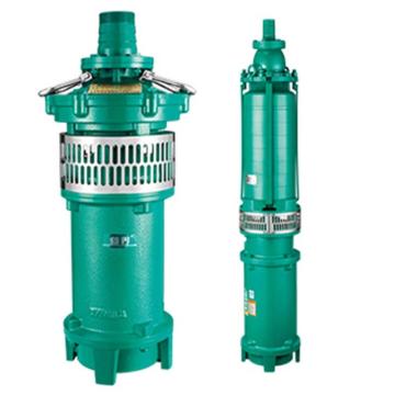 新界 QY型充油式小型潜水泵，QY65-10-3L3软管连接以及螺纹连接