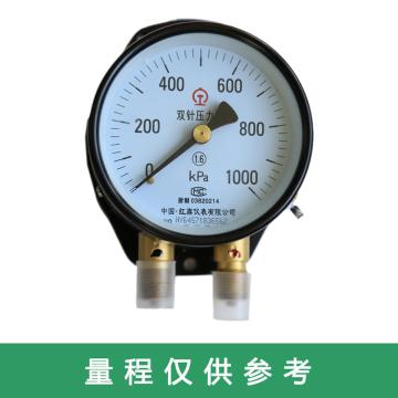 红旗 双针压力表，YZS-102 0~1000KPa,M16*1.5 售卖规格：1件