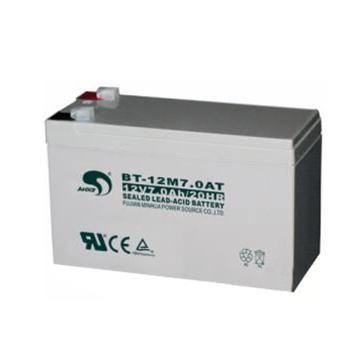 赛特 AGM铅酸蓄电池，BT-12M7.0AT (如需配线提前沟通) 售卖规格：1节