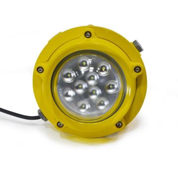 德普威 LED防爆泛光灯，DL607 60W 白光，防爆标志Exd llC T6 Gb，IP66 售卖规格：1个