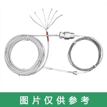 沈阳宇光 轴瓦专用单头全铠装铂热电阻，WZPK2-1/1A d×L1 L/L0 Pt100 (双支全铠装) 售卖规格：1个