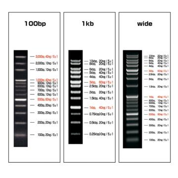 亚速旺/Asone DNA分子大小梯度标记条(可常温保存) 2-9883-02，VIO-100-5 售卖规格：5条/箱