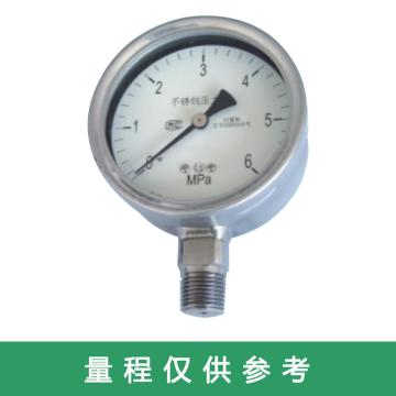 布莱迪/BLD 不锈钢压力表，YTHN-100.AO.531.M120.M20 售卖规格：1个