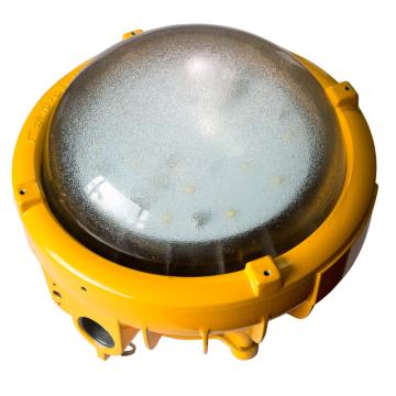 维莱奥斯 矿用隔爆型LED巷道灯 DGS51/127L(A)功率LED 51W 白光，吸顶/侧壁含吸顶配件，单位：个