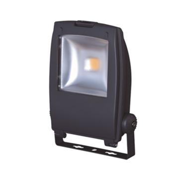 辰希照明 LED泛光灯，LCXF9822 黄光 60W（单光源），单位：个