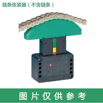 瑞成 链条张紧器，SIZE30系列281 030 002 链号06B，U型轨道圆弧，单排，重型 售卖规格：1个