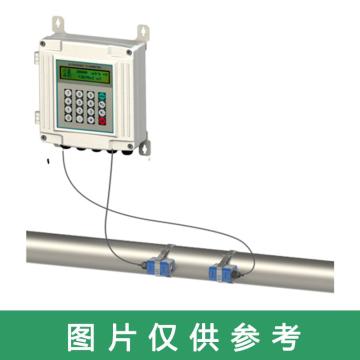 道盛/T-SONIC 白壁挂高温外夹式超声波流量计，TUF-2000SW-TM-1-HT(DN300) 高温中型探头,-40~160℃,10m线 售卖规格：1套