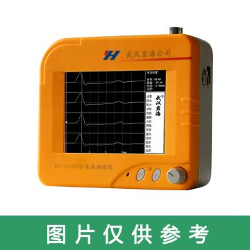 武汉岩海 激振器，RS-LB01 武汉岩海高应变配件 售卖规格：1箱