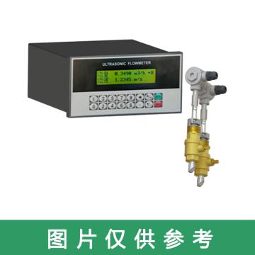 道盛/T-SONIC 盘装插入式超声波流量计，TUF-2000U-TC-1 管径≥DN50,10m线 售卖规格：1套