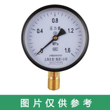 上仪 耐震压力表，Y-100BFZ0-160MPa,M20*1.5 径向,接液+表盘材质不锈钢 售卖规格：1个