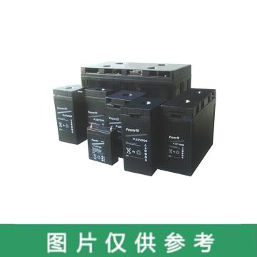 GNB PJ2V系列蓄电池（国产），PJ2V200 2V/200Ah(如需配线提前沟通) 售卖规格：1块