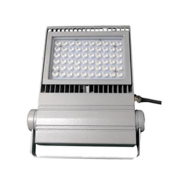 大地之光 LED泛光灯，DDZG-AN211-50B 50W 白光 售卖规格：1个