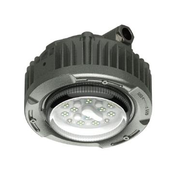 欧辉 LED防爆灯，30W，220V，白光，OHBF8230，短玻璃大款，不含其它安装附件，单位：个