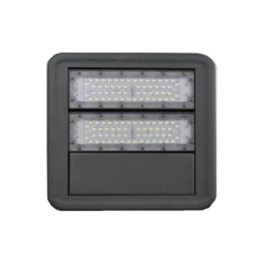 源本技术 LED泛光灯，100W白光，YB5580-100W，侧壁式安装，单位：个