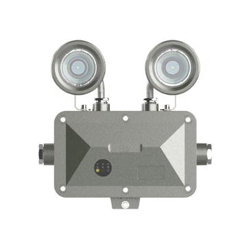 欧辉 LED防爆应急灯，2×3W，220V，白光，OHBF8190，不含其它安装附件，单位：个