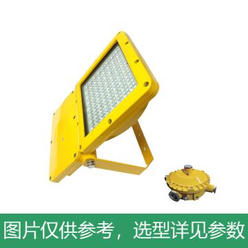 尚为 LED应急泛光灯，SZSW8120E-150W，不含安装附件，单位：个