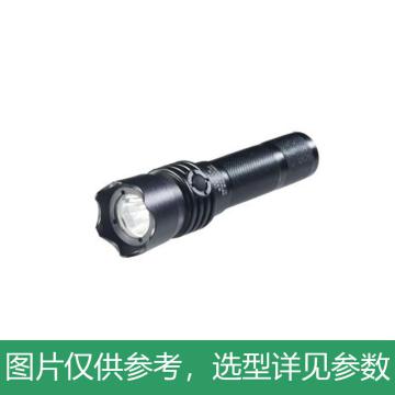 尚为 强光电筒，LED 1W，SW2101，单位：个