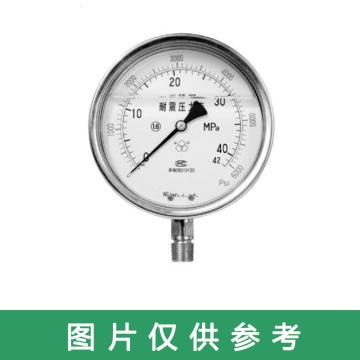 苏仪 耐震压力表，SY-YTF-100B-FZ\0~6.0MPa\1.6级\M20*1.5