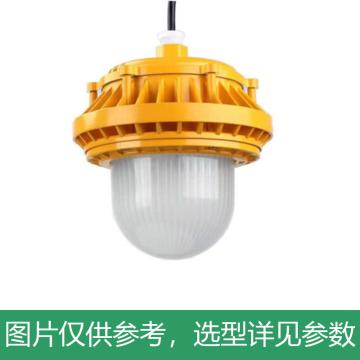 永鑫瑞 LED泛光灯，50W白光，LED-RY-DFG-50Ｗ-B-HS，吸顶式，单位：个