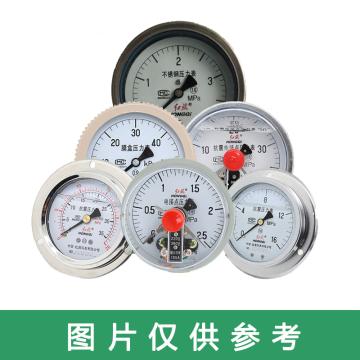 红旗 耐震压力表，Y-60BFZ 不锈钢 径向不带边 M14×1.5 0~25MPa双刻度